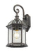 Z-Lite Canada - One Light Outdoor Wall Light - Annex - Rust- Union Lighting Luminaires Decor