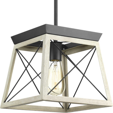 Progress Canada - One Light Pendant - Briarwood - Graphite- Union Lighting Luminaires Decor