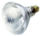 Satco Canada - Light Bulb - Clear- Union Lighting Luminaires Decor