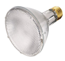 Satco Canada - Light Bulb - Clear- Union Lighting Luminaires Decor