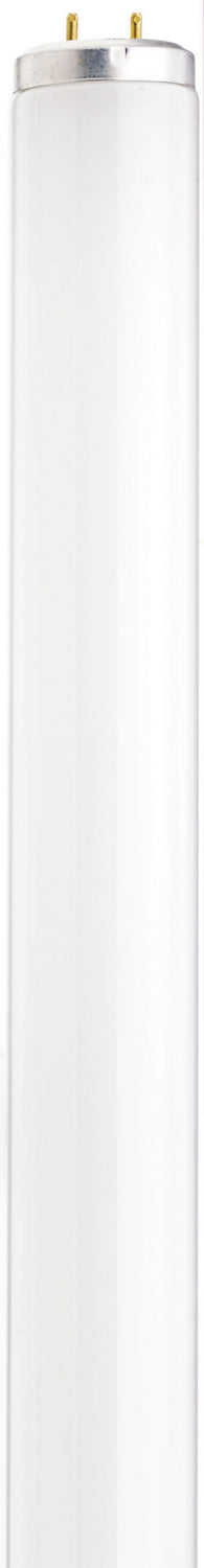 Satco Canada - Light Bulb - Frost- Union Lighting Luminaires Decor