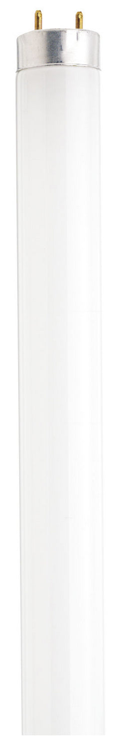 Satco Canada - Light Bulb - White- Union Lighting Luminaires Decor