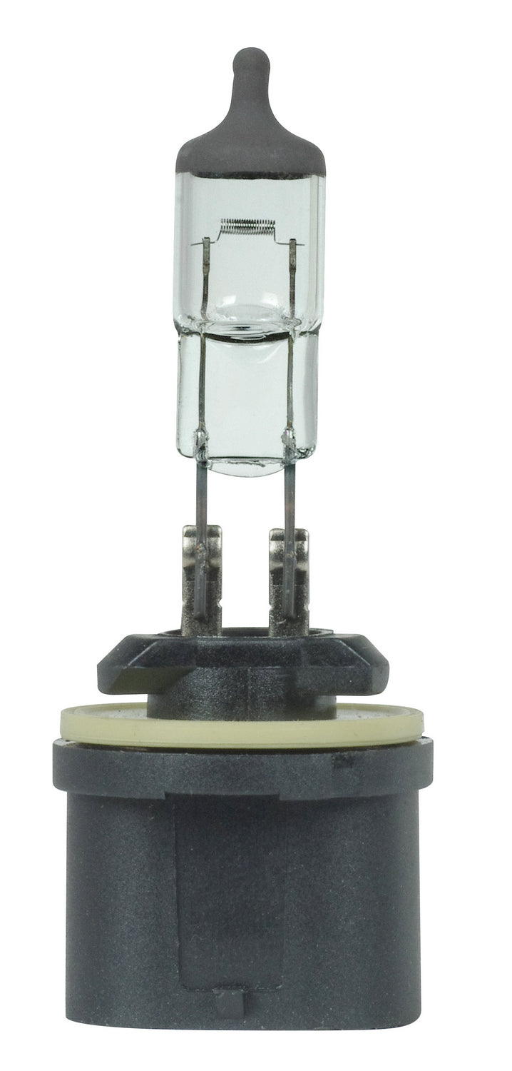 Satco Canada - Light Bulb - Black Crown- Union Lighting Luminaires Decor