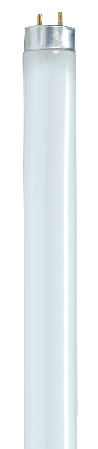 Satco Canada - Light Bulb - Gloss White- Union Lighting Luminaires Decor