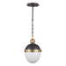 Regina Andrew Canada - One Light Pendant - Otis - Blackened Brass- Union Lighting Luminaires Decor