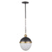 Regina Andrew Canada - One Light Pendant - Otis - Blackened Brass- Union Lighting Luminaires Decor