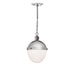 Regina Andrew Canada - One Light Pendant - Otis - Polished Nickel- Union Lighting Luminaires Decor