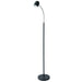 Dainolite Canada - LED Floor Lamp - Black- Union Lighting Luminaires Decor