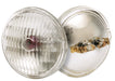 Satco Canada - Light Bulb - Clear- Union Lighting Luminaires Decor