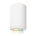 W.A.C. Canada - LED Flush Mount - Tube Arch - White- Union Lighting Luminaires Decor