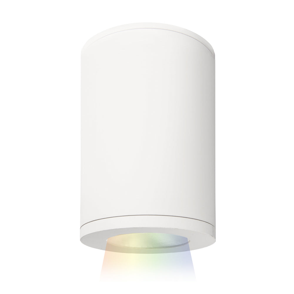 W.A.C. Canada - LED Flush Mount - Tube Arch - White- Union Lighting Luminaires Decor