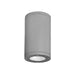 W.A.C. Canada - LED Flush Mount - Tube Arch - Graphite- Union Lighting Luminaires Decor