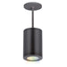 W.A.C. Canada - LED Pendant - Tube Arch - Black- Union Lighting Luminaires Decor