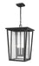 Z-Lite Canada - Three Light Outdoor Chain Mount Ceiling Fixture - Seoul - Black- Union Lighting Luminaires Decor