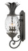 Hinkley Canada - LED Wall Mount - Plantation - Museum Black- Union Lighting Luminaires Decor
