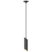 Visual Comfort Signature Canada - One Light Pendant - Tourain - Black and Gild- Union Lighting Luminaires Decor