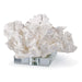 Regina Andrew Canada - Sculpture - Flower - White- Union Lighting Luminaires Decor