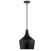 Meridian - One Light Pendant - Mpend - Oil Rubbed Bronze- Union Lighting Luminaires Decor