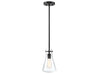 Meridian - One Light Pendant - Mpend - Matte Black- Union Lighting Luminaires Decor