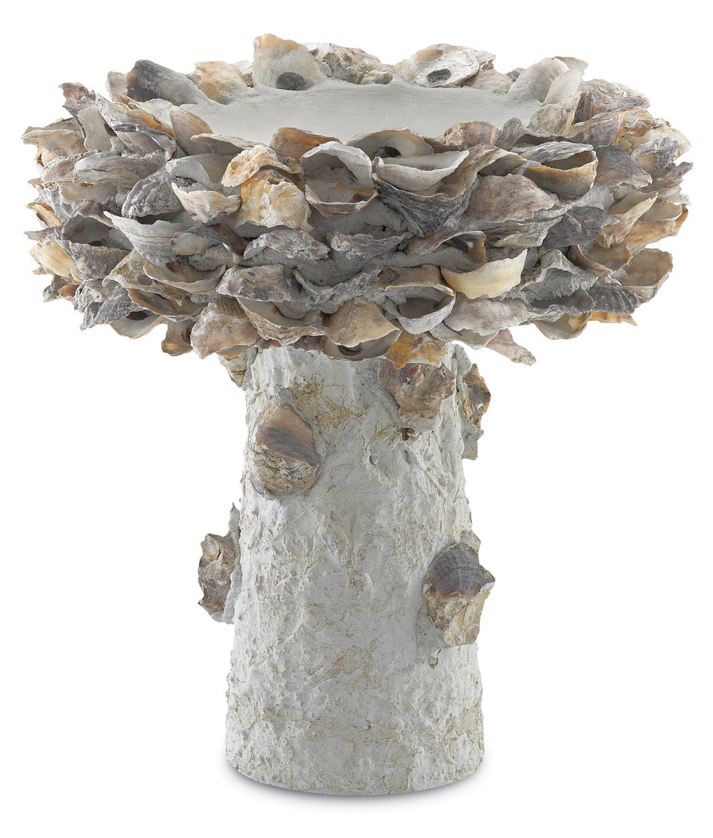 Currey and Company - Bird Bath - Oyster Shell - Portland/Natural- Union Lighting Luminaires Decor