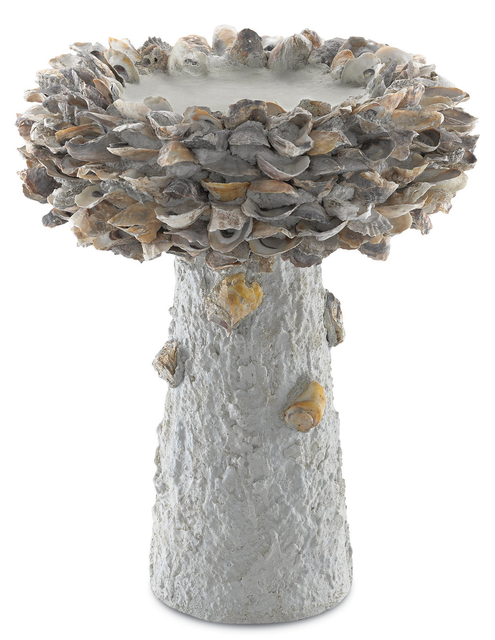 Currey and Company - Bird Bath - Oyster Shell - Portland/Natural- Union Lighting Luminaires Decor