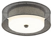 Currey and Company - Two Light Flush Mount - Notte Black Flush Mount - Molé Black- Union Lighting Luminaires Decor