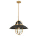 DVI Canada - One Light Pendant - Peggy'S Cove - Graphite/Venetian Brass- Union Lighting Luminaires Decor