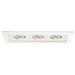 W.A.C. Canada - LED Trim - Mr16 Multiples - White/White- Union Lighting Luminaires Decor