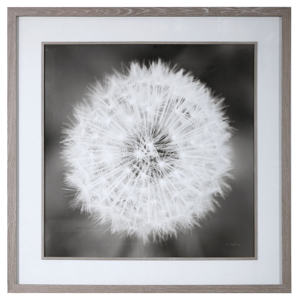 Uttermost - Framed Print - Dandelion Seedhead - Driftwood Look- Union Lighting Luminaires Decor