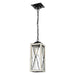 DVI Canada - One Light Outdoor Pendant - County Fair Outdoor - Black/Birchwood On Metal- Union Lighting Luminaires Decor