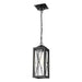 DVI Canada - One Light Outdoor Pendant - County Fair Outdoor - Black w/Clear Glass- Union Lighting Luminaires Decor