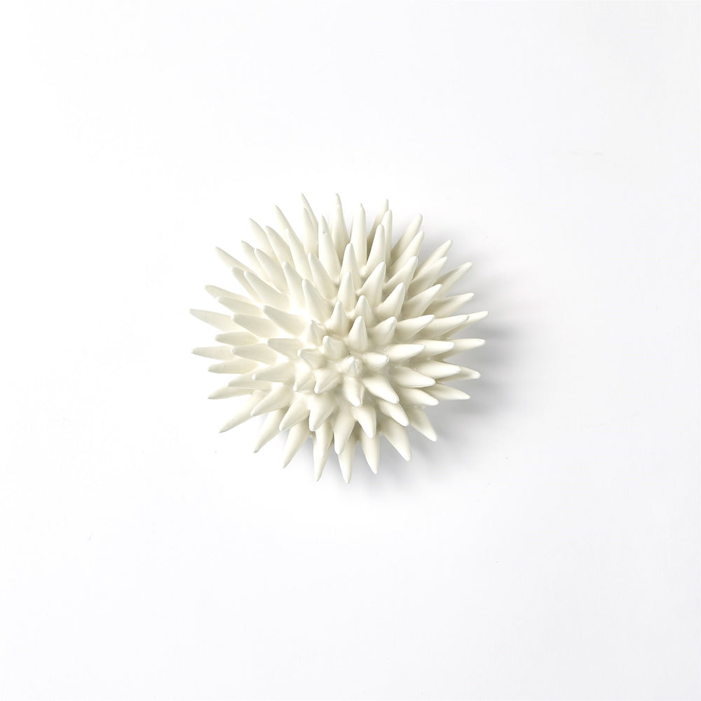 Urchin