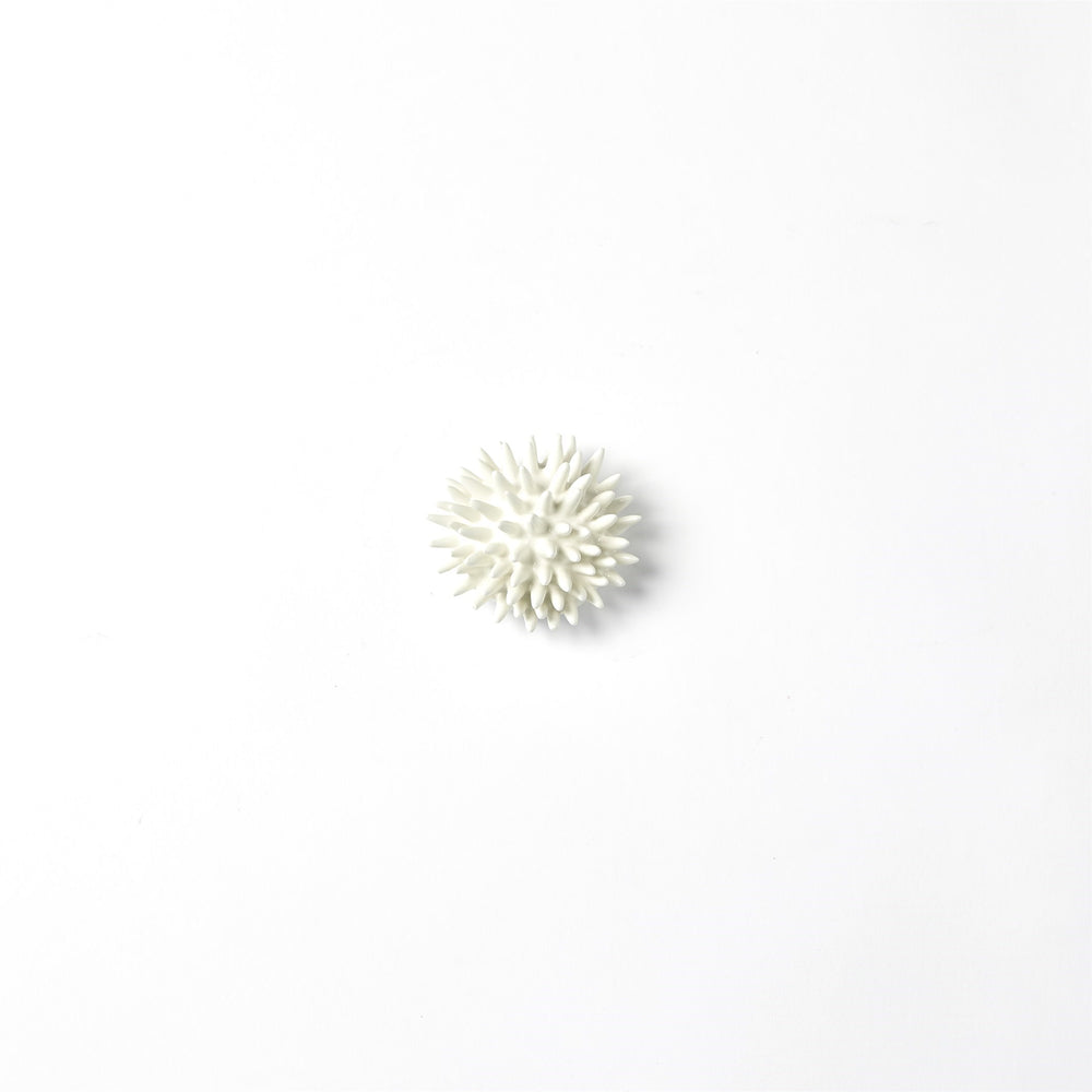 Urchin