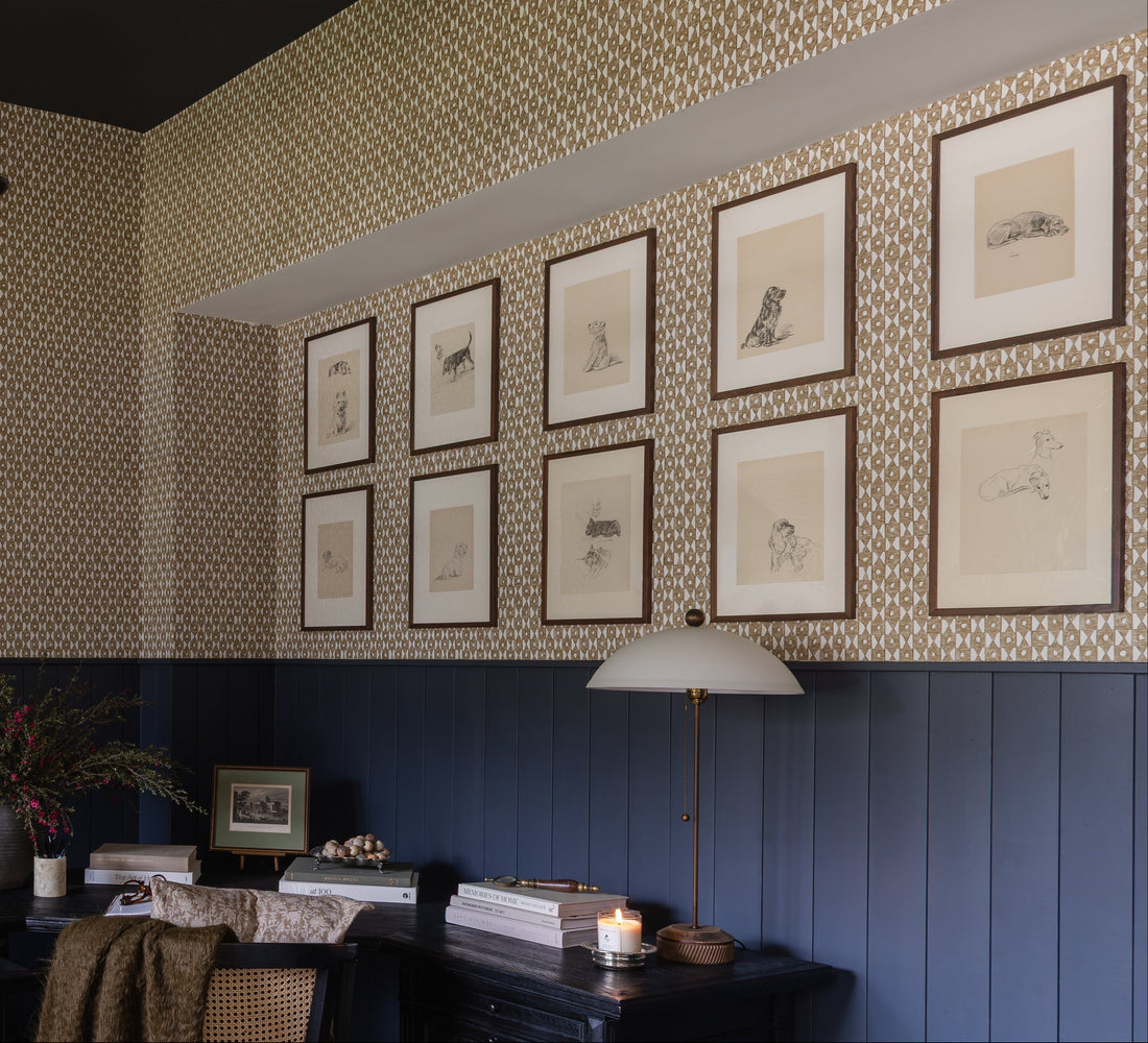 Audrey Scheck project highlight