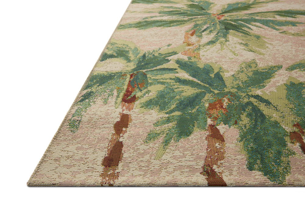 BOT-04 Botanical Clay/Green Rug