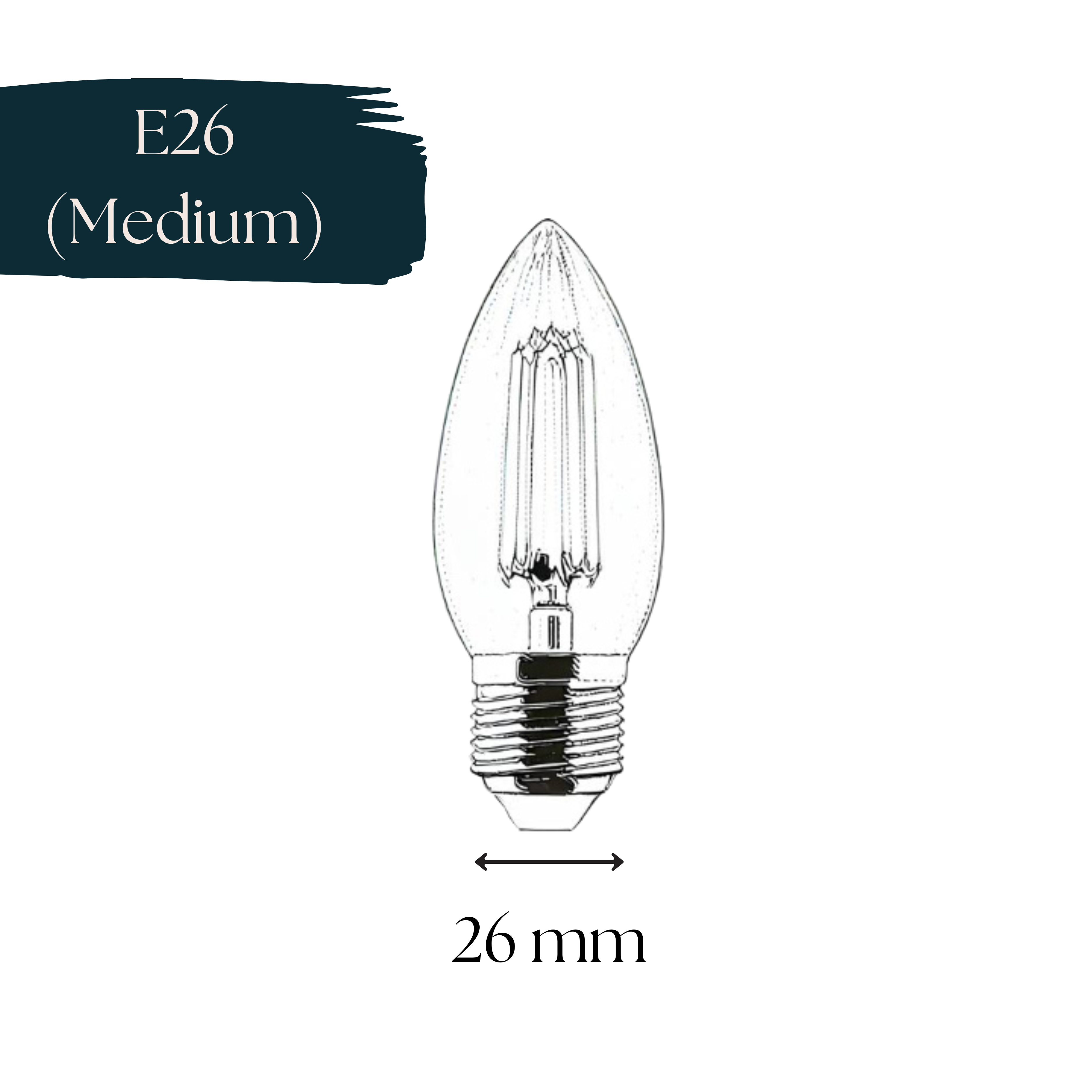 Our Bulb Guide