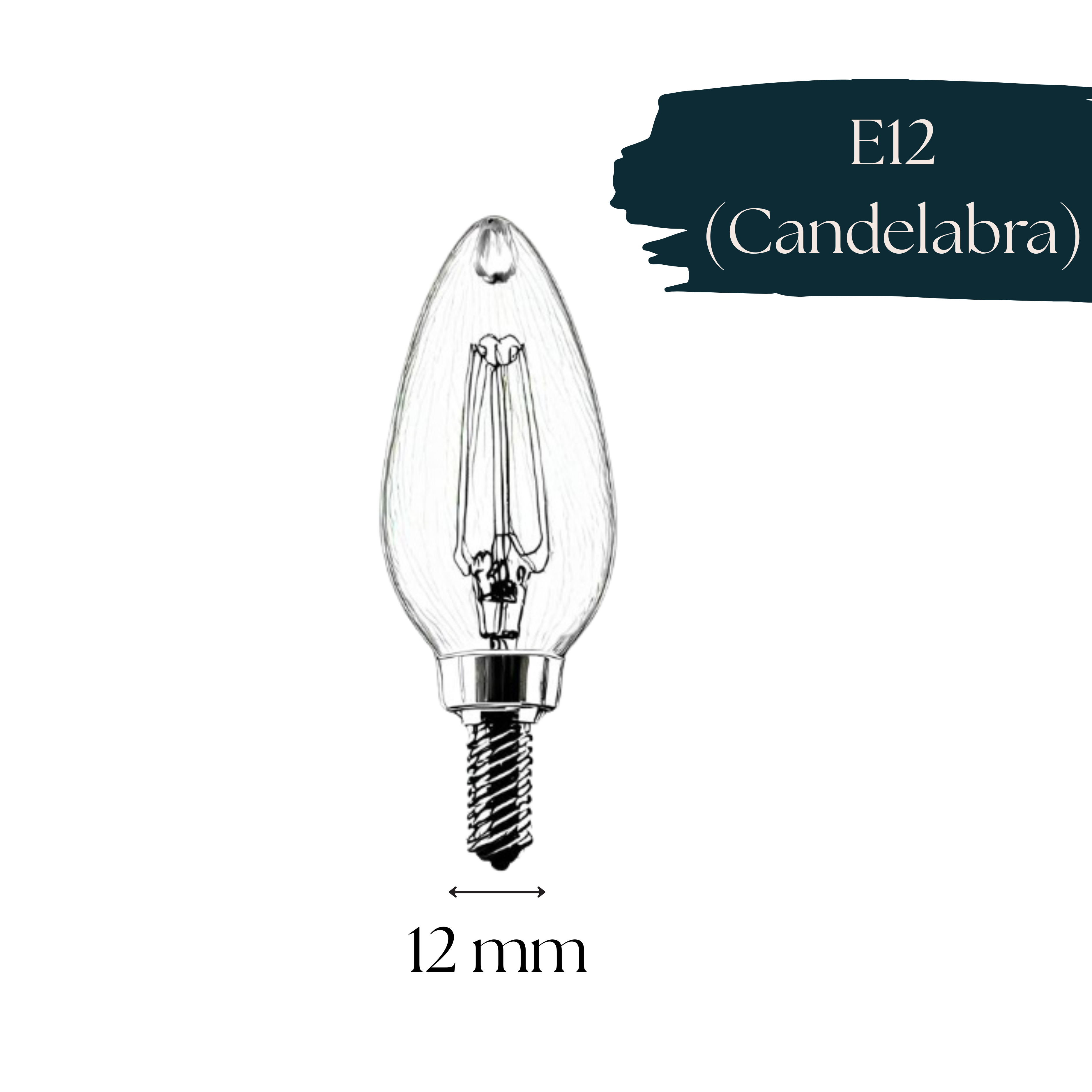 Our Bulb Guide