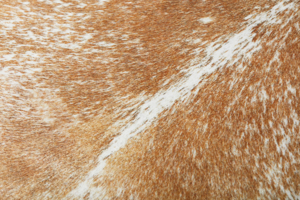Oreiller beige/blanc (FP0002)