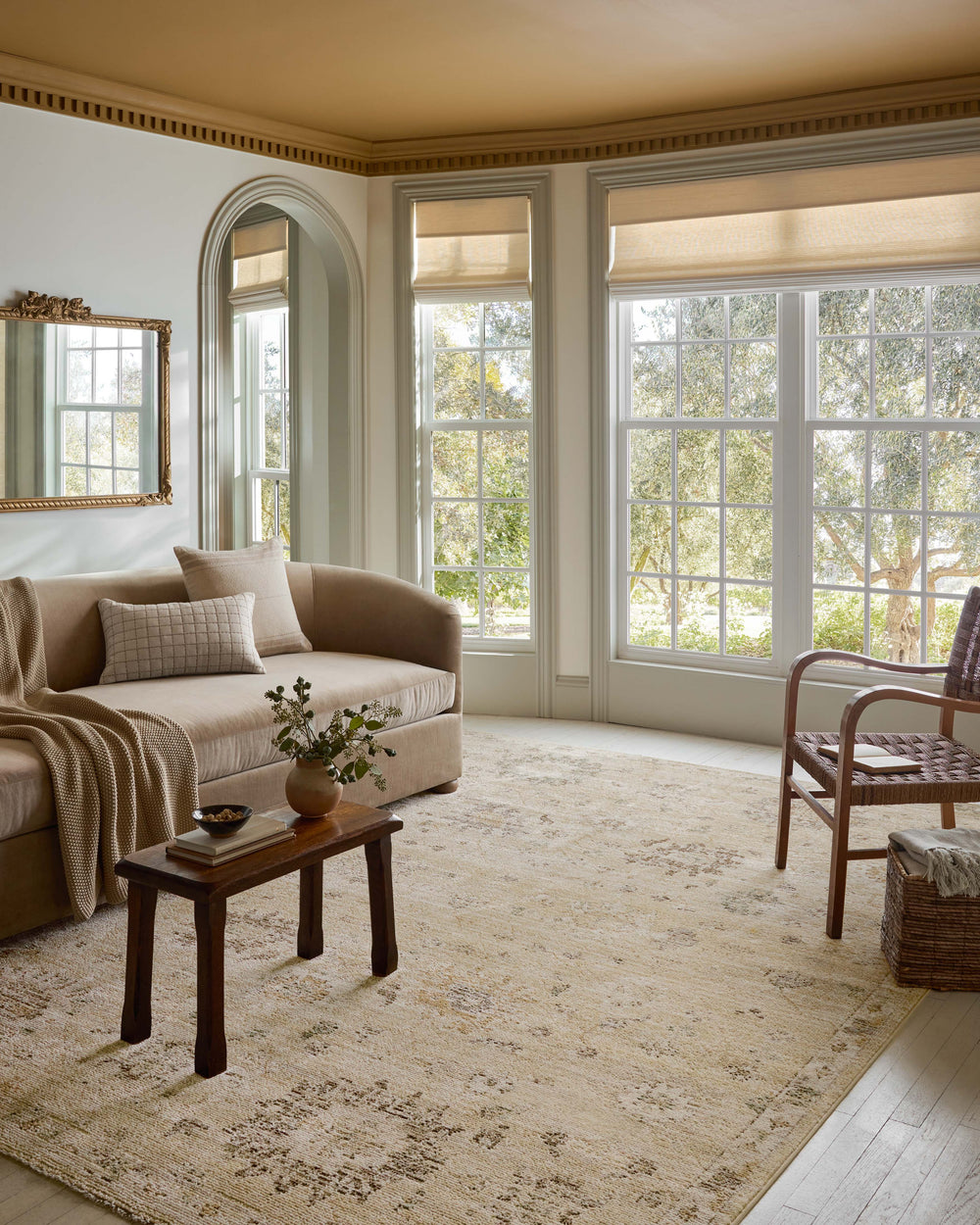 PAC-05 PACE APPRICOT / MULTI RAP