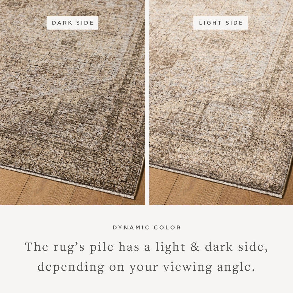 PRL-07 Priscilla Beige / Terre Rug