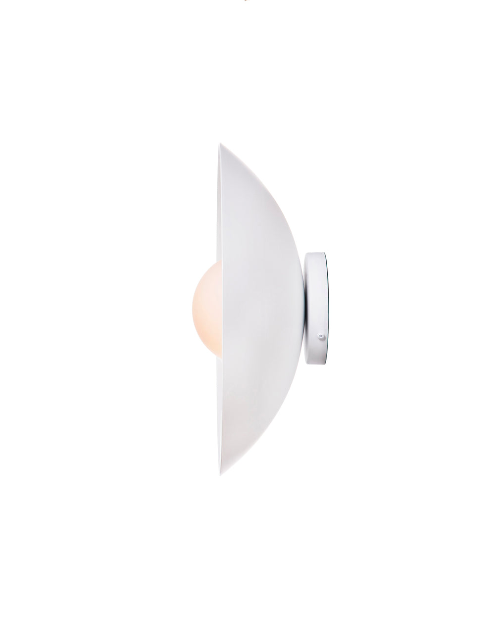 Danoise Wall Sconce