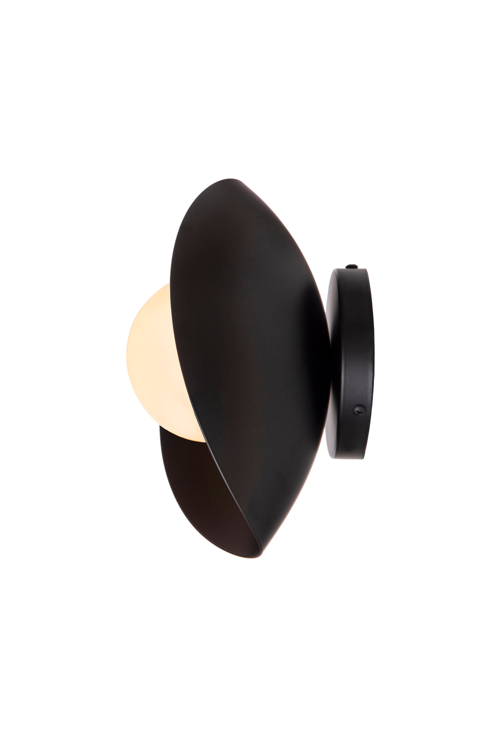 Outdoor Seashell Wall Sconce