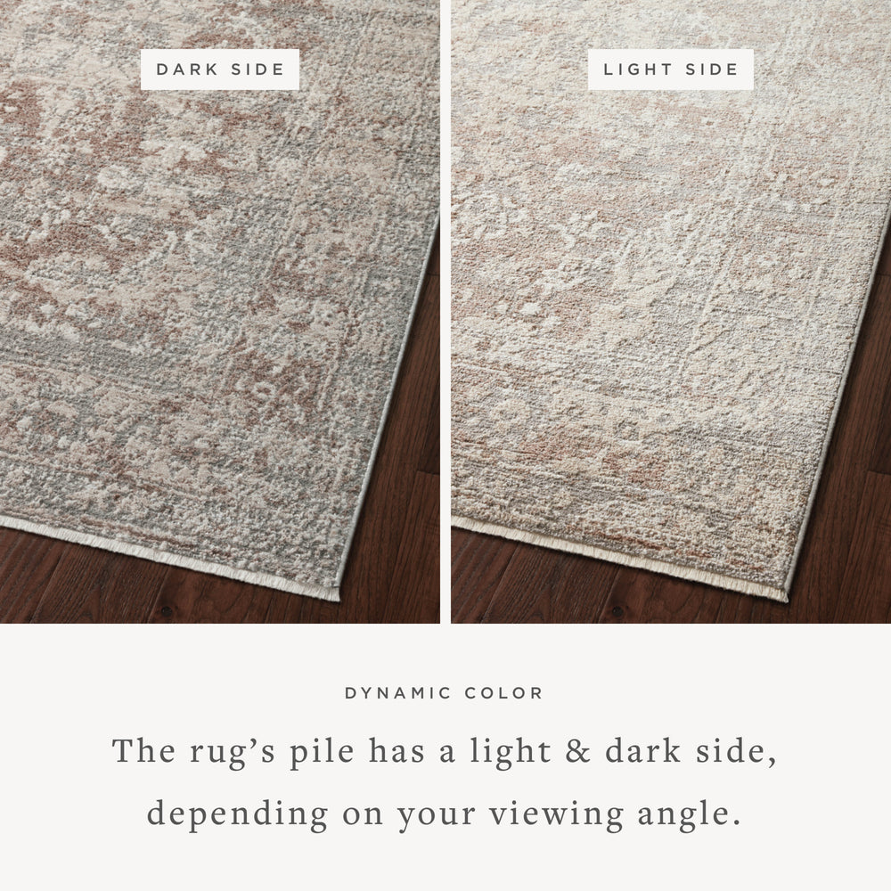 SNN-05 LOLOI SONNET Silver / Natural Rug