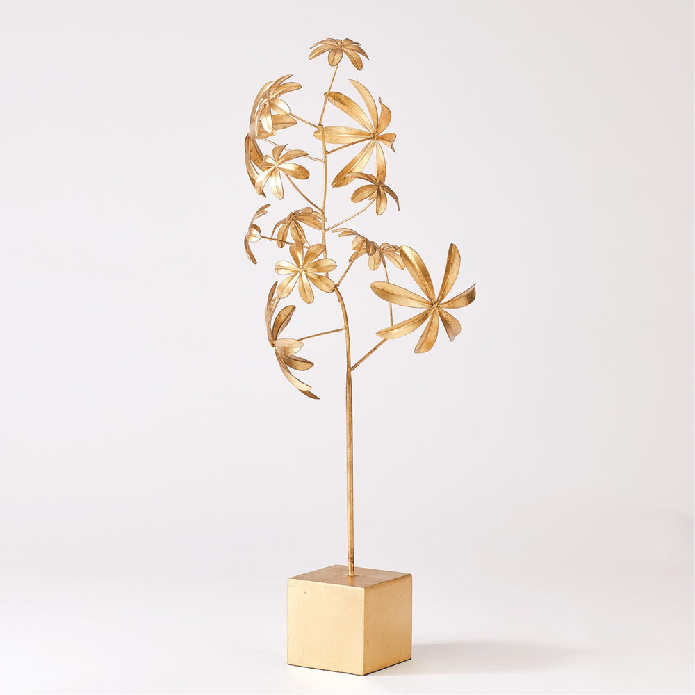 Plante de Dieffenbachia
