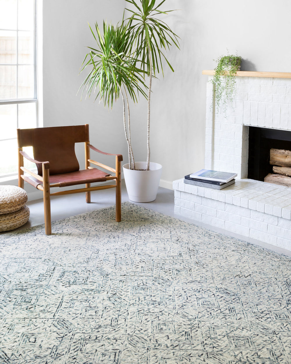 ZV-03 vit un tapis bleu
