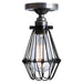 Apoch Flush Cage Light