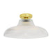 Aquarius Ceiling Light
