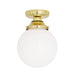 Deniz Ceiling Light