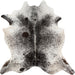 Surya - Handmade Rug - Easton