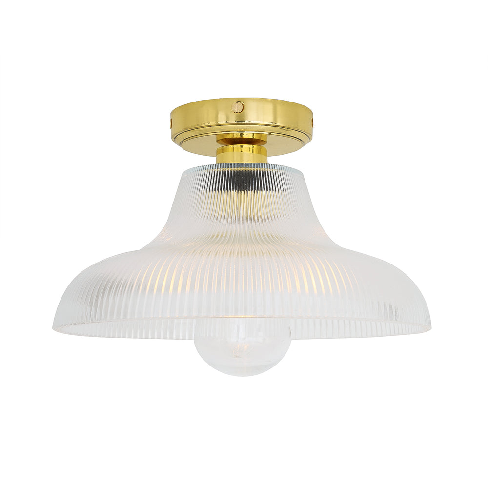 Aquarius Ceiling Light
